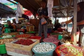 Stok cabai di Bangka Belitung 1,5 ton