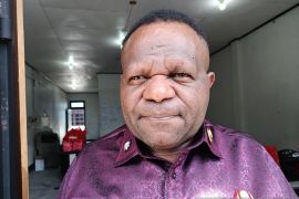 Pemkab Tolikara sebut budidaya buah merah jadi komoditi unggulan