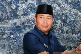 Pemkab Deli Serdang maksimalkan promosi pariwisata melalui medsos