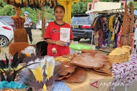 DJP perkuat pengawasan terhadap aktivitas ekonomi digital di Papua