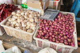 Harga bawang masih tinggi di Pasar Barabai HST dipicu pasokan terbatas