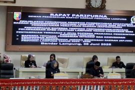 Wagub Lampung sebut Silpa 2024 jadi sumber pembiayaan APBD 2025