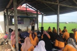 Penyaluran dana desa Pasaman Barat sebesar Rp52 miliar