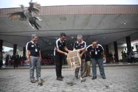 Wabup Sleman : Masyarakat harus mulai kurangi polusi plastik