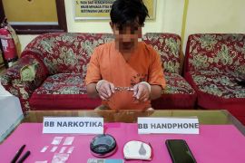 Polsek Kampar Kiri Hilir amankan 2,42 gram sabu