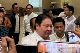 Tariff talks: Govt invites critical mineral investment from US