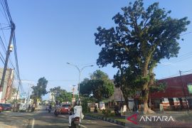 Pemkot Bengkulu pasang 1.250 lampu penerangan jalan