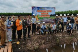 Polres Batola-PT TAL tanam jagung dukung ketahanan pangan