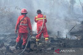 Karhutla di Tapung meluas, sekitar 30 hektare lahan gambut terbakar