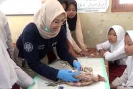 FKH UGM ajak siswa SD belajar anatomi unggas dengan pembedahan