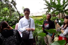 Desa Sido Mulyo di Jember kini mulai dilirik wisatawan mancanegara