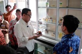 Menteri P2MI upayakan PMI non-prosedural masuk dalam pemutihan