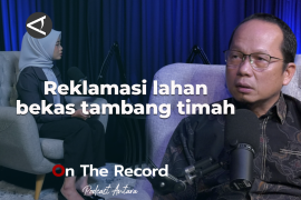 Reklamasi lahan bekas tambang timah