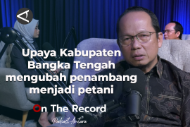 Upaya Kabupaten Bangka Tengah mengubah penambang menjadi petani