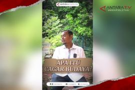 Apa itu cagar budaya?