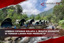 Lembah Cipanas Kelapa 3, wisata edukatif di tengah lahan padi produktif