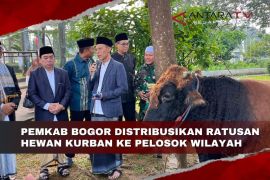 Pemkab Bogor distribusikan ratusan hewan kurban ke pelosok wilayah