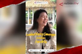 Lembur Kuring Cimanggis kesukaan para artis