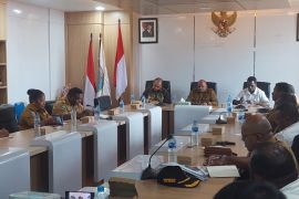 BWS Papua Barat bebaskan 14 hektare lahan minimalisir dampak banjir di Sorong