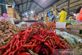 BPS: Papua Barat alami deflasi tahunan 0,67 persen pada Juni 2025