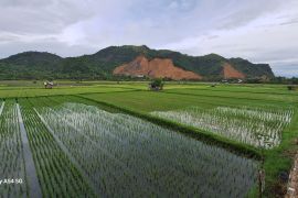 BPS: NTP Aceh naik 0,86 persen Juni