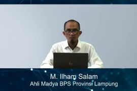 Neraca perdagangan Lampung pada Mei 2025 surplus 388,08 juta dolar AS