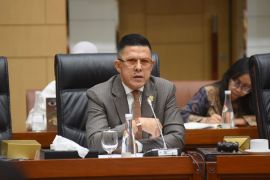 Anggota DPR minta pemerintah beri perhatian anggota Polri di Papua