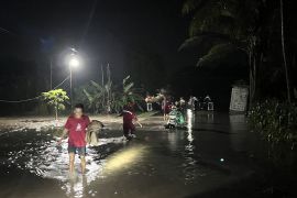 Damkarmat Lamsel bantu warga seberangi banjir