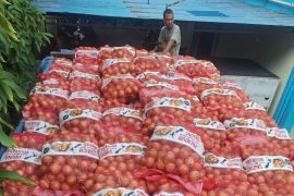 Bea Cukai menggagalkan penyelundupan 21 ton bawang Bombai ilegal