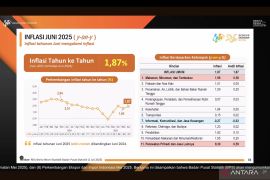 Perawatan pribadi jadi pendorong inflasi tahunan, Juni 2025