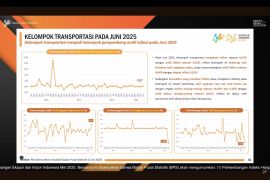 Diskon tiket transportasi membantu redam tingkat inflasi Juni 2025