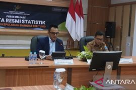 BPS: Babel alami inflasi tahunan 0,99 persen