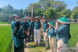 Delegasi Uni Eropa tinjau proyek beras rendah karbon Madiun