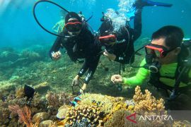 Hari Kelautan Nasional momentum evaluasi pengelolaan SDA laut
