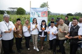 Kementerian ATR dorong kolaborasi dukung ketahanan pangan