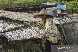 KKP terbitkan regulasi standar bahan baku pengolahan ikan