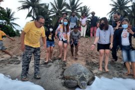Rumah Ganeca edukasi masyarakat lindungi penyu di Minahasa