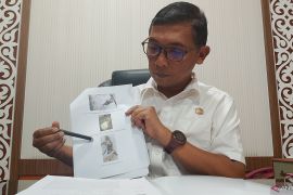 Pemkot Bukittinggi ungkap dugaan kelainan genetik bayi harimau mati di TMSBK