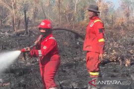 Masitoh, perempuan Manggala Agni di garis api