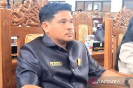 Fraksi NasDem DPRD Gumas usul hadiah dan sanksi terkait PAD