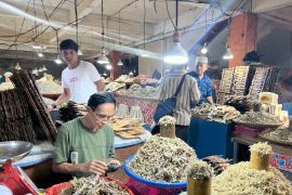 117 Pelaku  usaha di Malut daftarkan perseroan perorangan