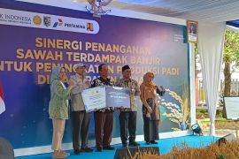 Pemprov Jateng-BI bersinergi pulihkan  sawah di Grobogan dan Demak