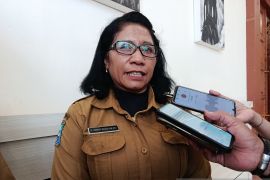 Dinkes Jayawijaya dorong 40 puskesmas sukseskan PKG bagi anak sekolah