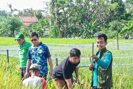 DKP Tangerang libatkan BPS ukur lahan pertanian perkirakan masa panen