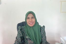 Pengumuman kelulusan PPPK tahap dua sudah keluar