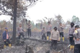 Kapolres tangani kebakaran hutan di Tapung