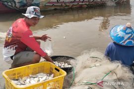 Mukomuko sisir nelayan untuk berikan layanan Kusuka