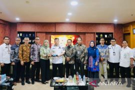 PLN-Pemprov Babel perkuat sinergisitas dukung pertumbuhan ekonomi