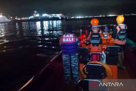 At least 31 rescued from ferry that sank in Bali Strait: ministry