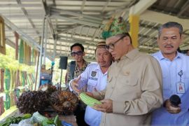 Mendes PDT ingin Kejagung kawal Makan Bergizi Gratis